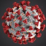 A picture of the coronavirus with red and white dots.